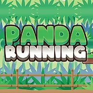 Panda Running
